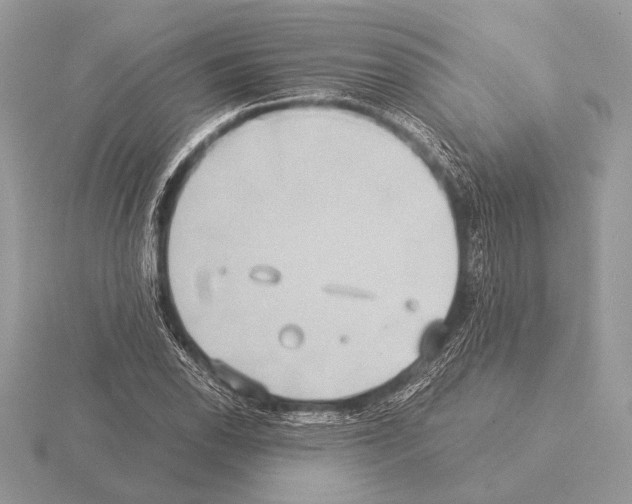 X0000115311118200912141131