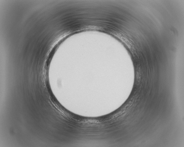 X0000115311119200912141131