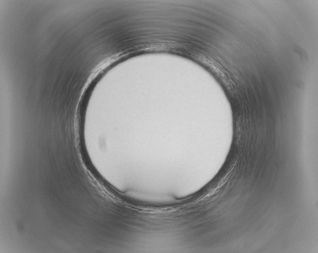 X0000115311122200912141131