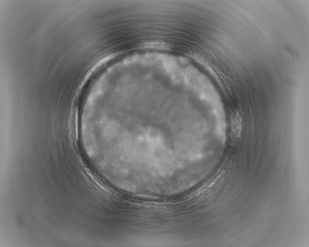 X0000115311123200912141131