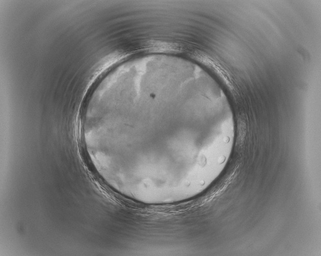 X0000115311125200912141131