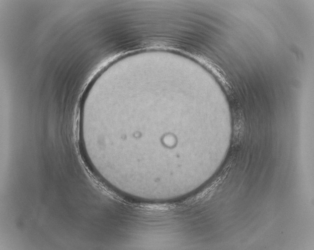 X0000115311126200912141131