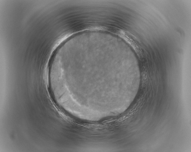 X0000115311127200912141131