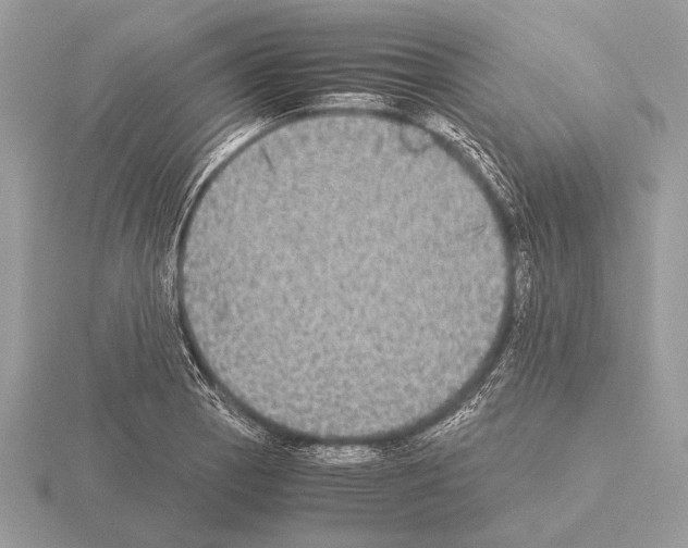 X0000115311129200912141131