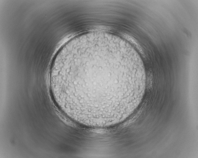 X0000115311130200912141131