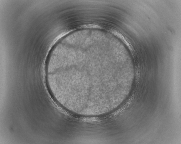 X0000115311133200912141131