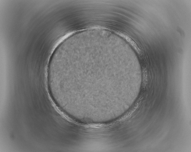 X0000115311134200912141131