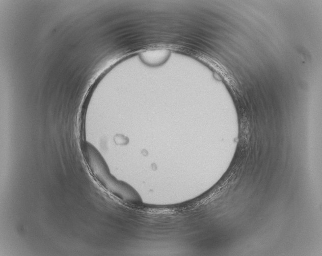 X0000115311135200912141131