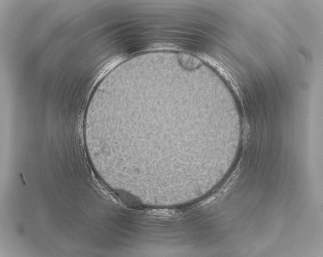 X0000115311137200912141131