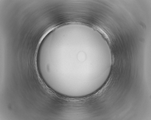 X0000115311138200912141131