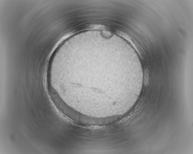 X0000115311139200912141131