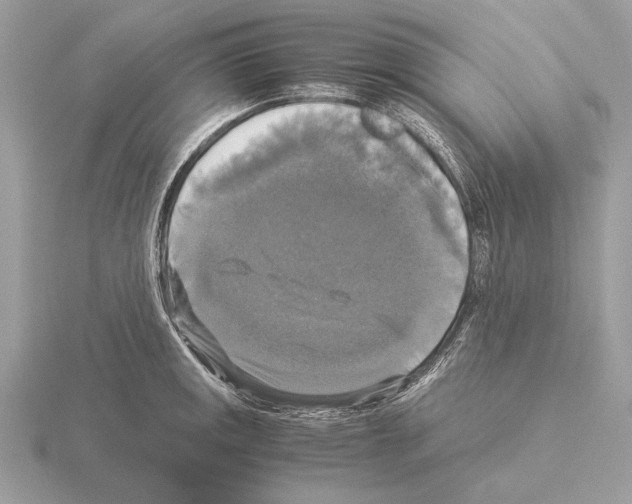 X0000115311141200912141131