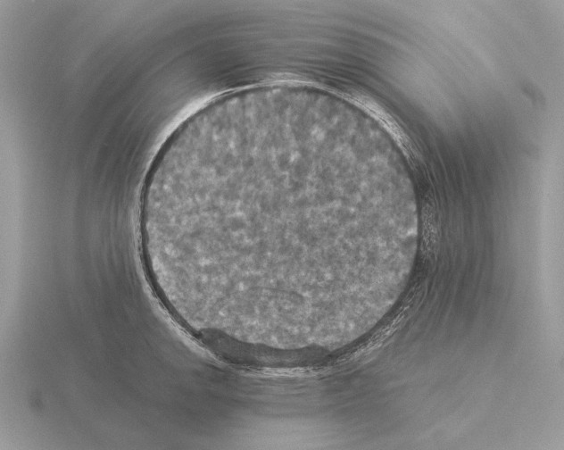 X0000115311142200912141132