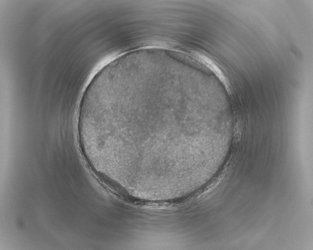 X0000115311146200912141132