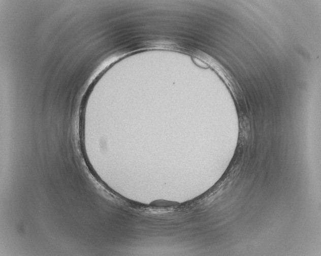 X0000115311147200912141132