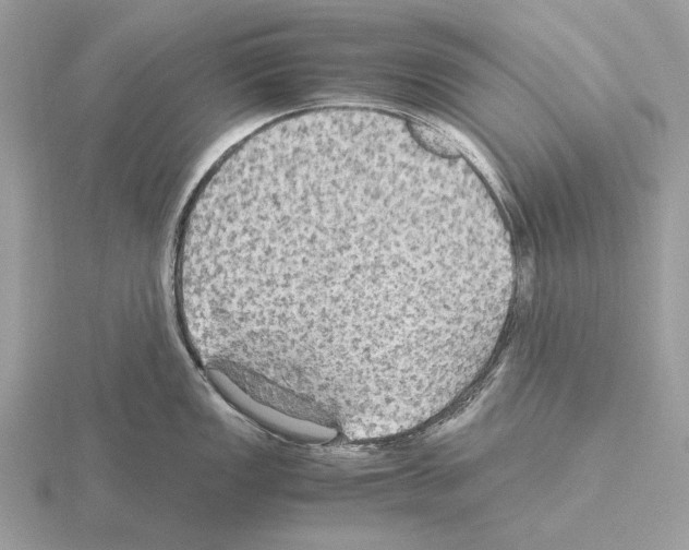 X0000115311149200912141132