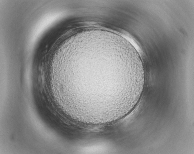 X0000115311150200912141132