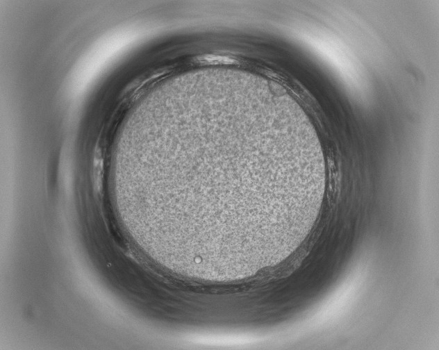 X0000115311151200912141132