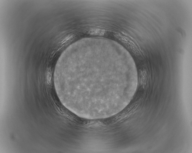 X0000115311154200912141131