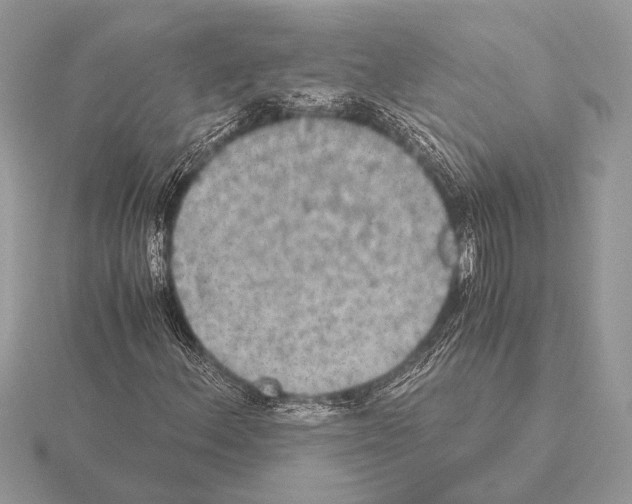 X0000115311156200912141131