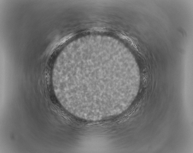 X0000115311159200912141131