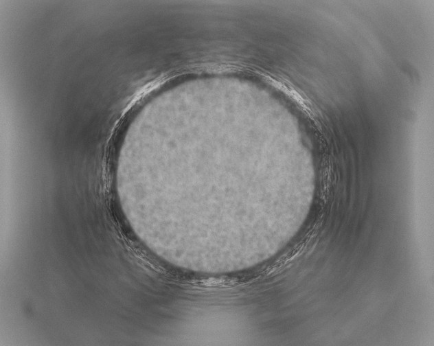 X0000115311160200912141131