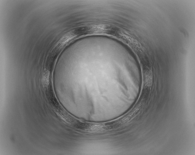 X0000115311161200912141131