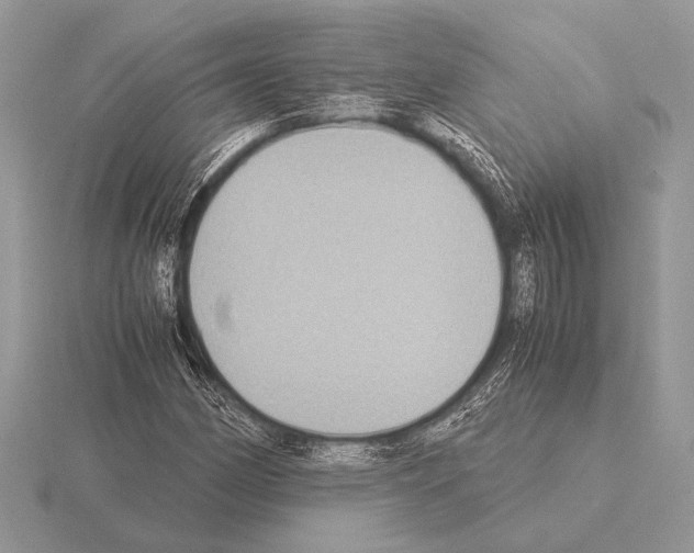 X0000115311162200912141131