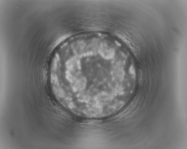 X0000115311163200912141131