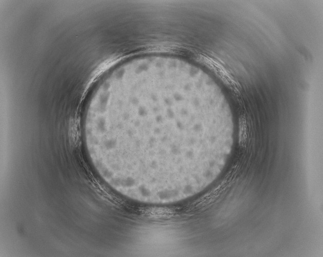 X0000115311164200912141131