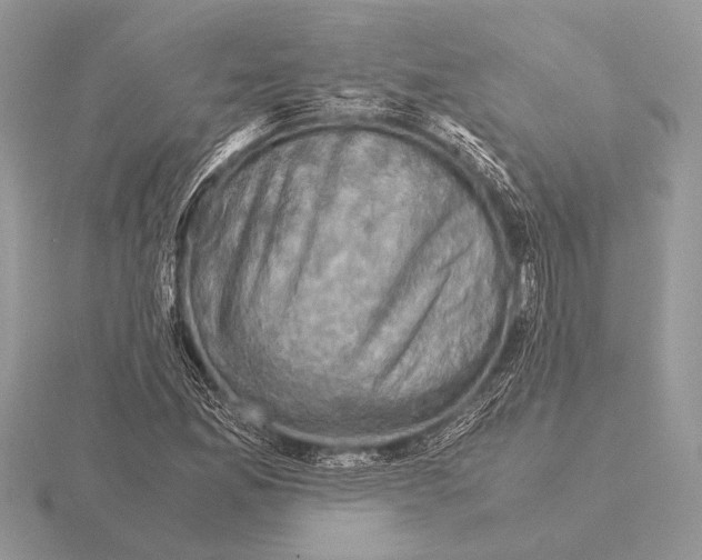 X0000115311165200912141131