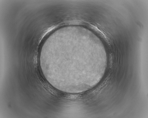 X0000115311166200912141131