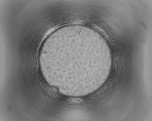 X0000115311168200912141131