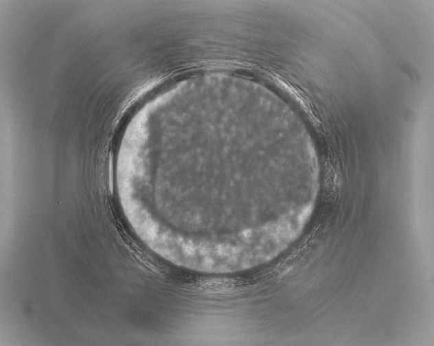 X0000115311171200912141131