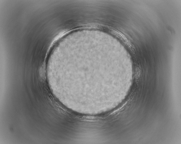 X0000115311172200912141131