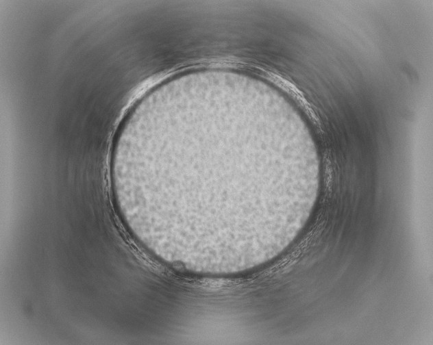 X0000115311176200912141131