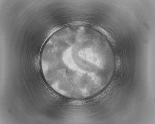 X0000115311178200912141131