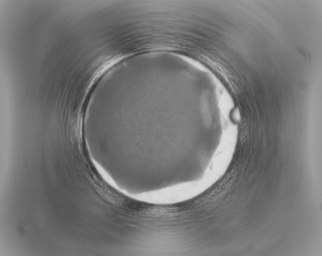 X0000115311179200912141131