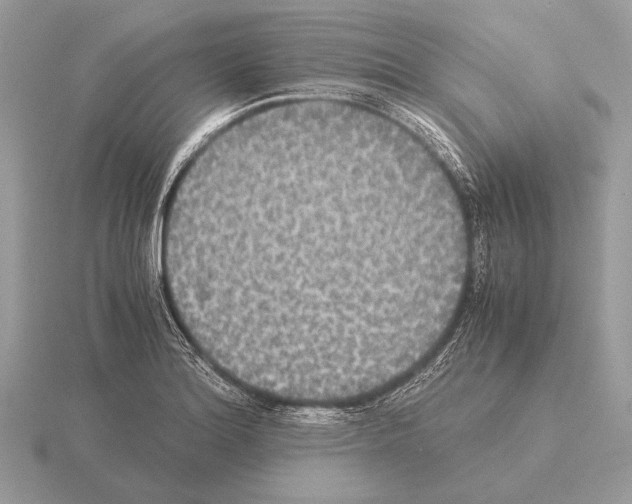 X0000115311180200912141131