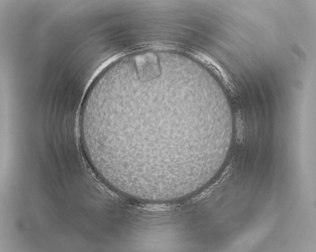 X0000115311182200912141131