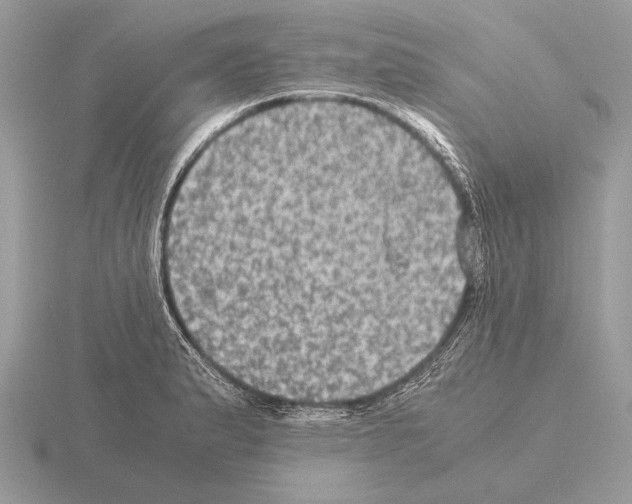 X0000115311183200912141131