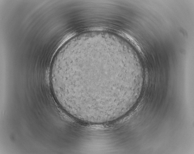 X0000115311186200912141131