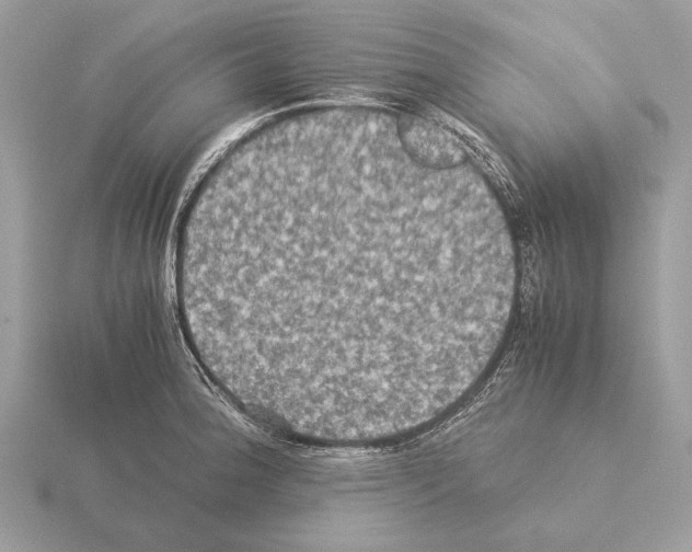 X0000115311188200912141131