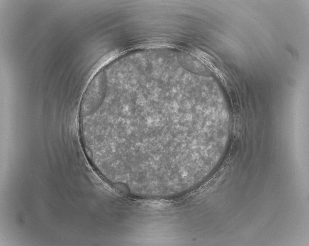 X0000115311189200912141131