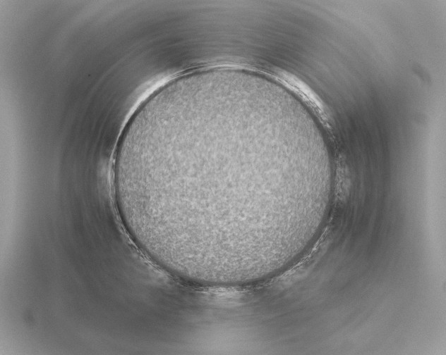 X0000115311190200912141131