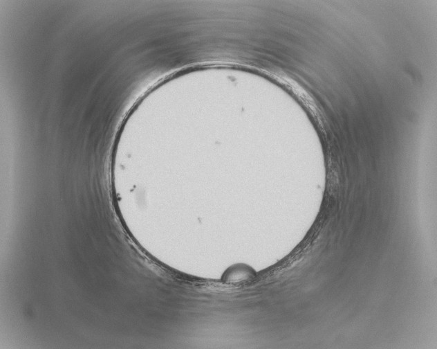 X0000115311191200912141131