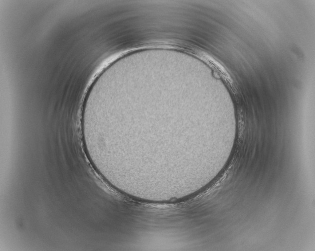 X0000115311192200912141131