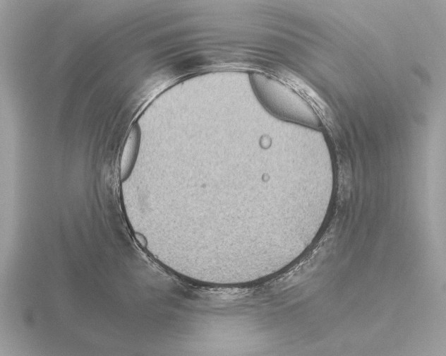 X0000115311193200912141131