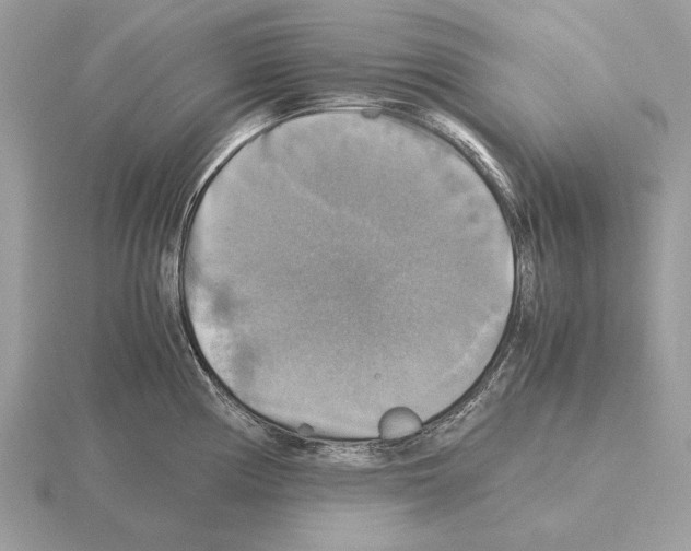 X0000115311194200912141130