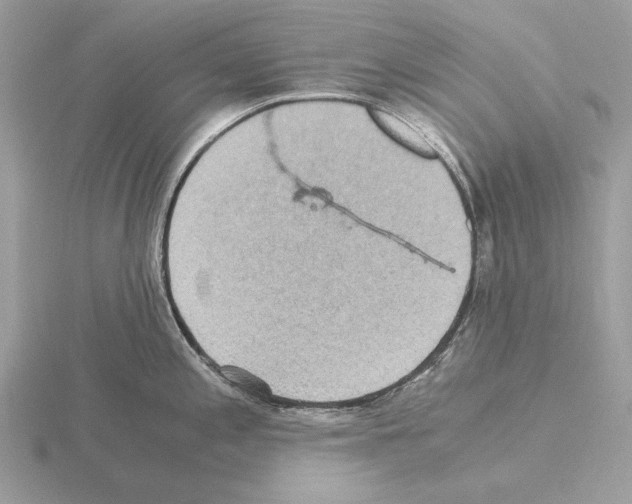 X0000115311197200912141130